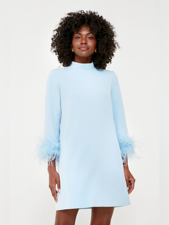 Tuckernuck Dresses & Skirts - Tuckernuck blue feather mod Ellie mini dress